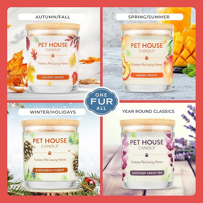 One Fur All Pet House Candle Plant-Based/Soy - Image 4