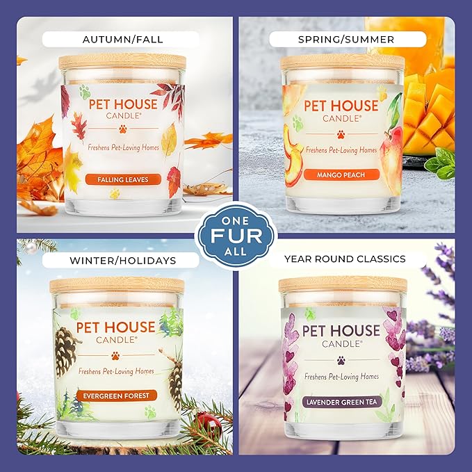 Pet House Candles, Plant-Based, Long Lasting, Pet Friendly Candles - Image 4