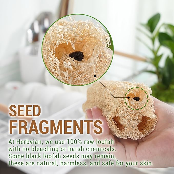 Natural Vietnamese Loofah Sponge, 100% Plant-Based Luffa Exfoliating Body - Image 8