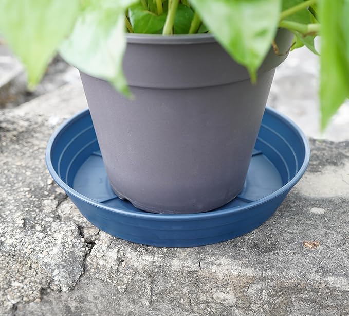 Plant Saucer 6 Inch 4 Pack 6 8 10 12 14 16 18 20 25, Plastic Plant Trays - Image 4
