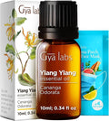 100% Pure Ylang-Ylang Essential Oil by GyaLabs