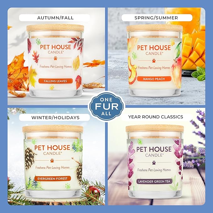 Pet House Candles Plant Based Cookie Scented Candle Clean Burning, Long Lasting - Image 4