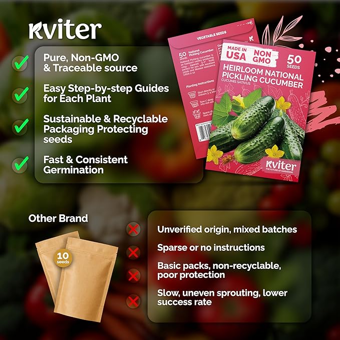 KVITER 50 National Pickling Cucumber Seeds - Image 5