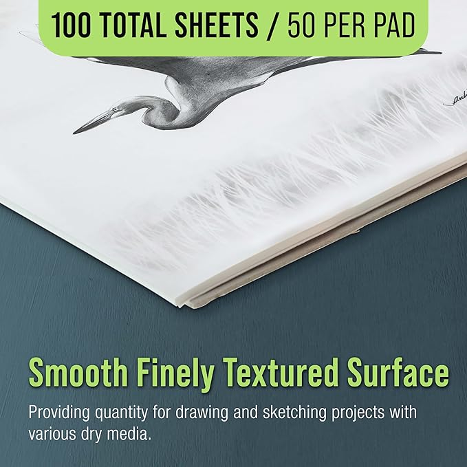 U.S. Art Supply 9" x 12" Premium Drawing Pad, Pack of 2 (50 Sheets Each), 60 lb (100 GSM) - Artist Sketch Book, Mixed Media Paper, Sketchbook for Drawing, Colored Pencils, Charcoal - Adults, Students