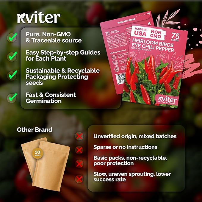 KVITER 75 Birds Eye Chili Pepper Seeds - Image 5