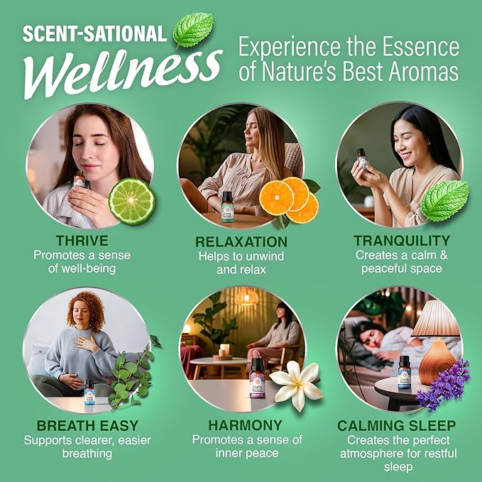 GuruNanda Essential Oil Blends – 6 Pack, Breathe Easy, Tranquility, Relaxation - Image 5