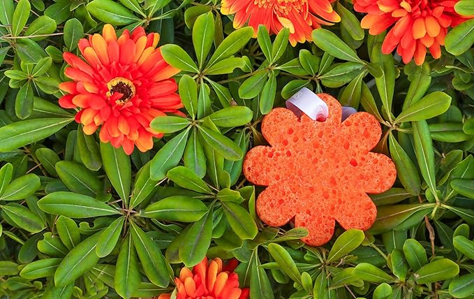Spongellé Lily of the Valley Wild Flower Bath Sponge | Built-in Body Wash & - Image 3