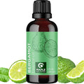 Bergamot Essential Oil for Diffuser Aromatherapy by MapleHolistics