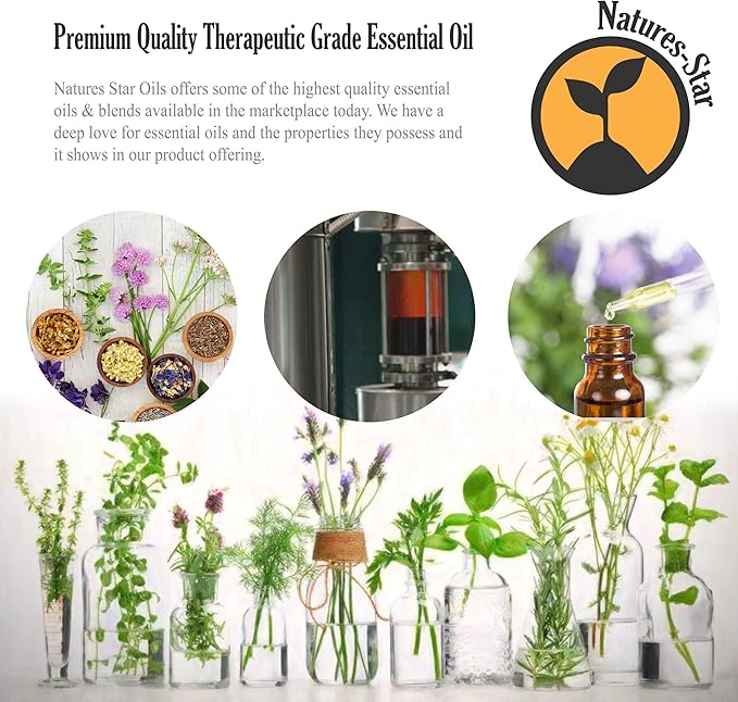 Natures-Star Tea Tree Essential Oil - Image 3