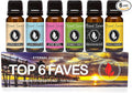 Top 6 Faves - Set of 6 Premium Fragrance Oils - Love Spell, Tahitian Vanilla by EternalEssenceOils