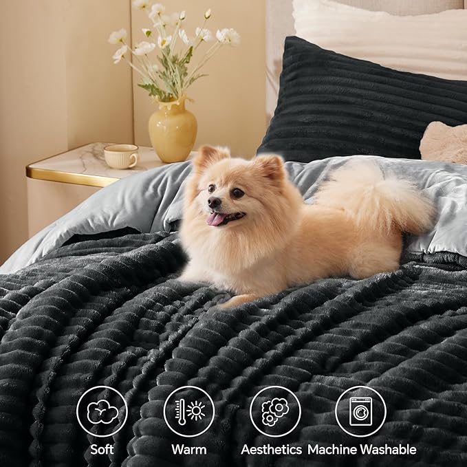 BEDELITE Fleece Twin Comforter Set -Super Soft & Warm Fluffy Black Bedding - Image 3