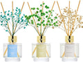 Airkeep Reed Diffuser Set of 3, Jasmine Mint Gardenia Freesia Pear Oil Reed by Airkeep