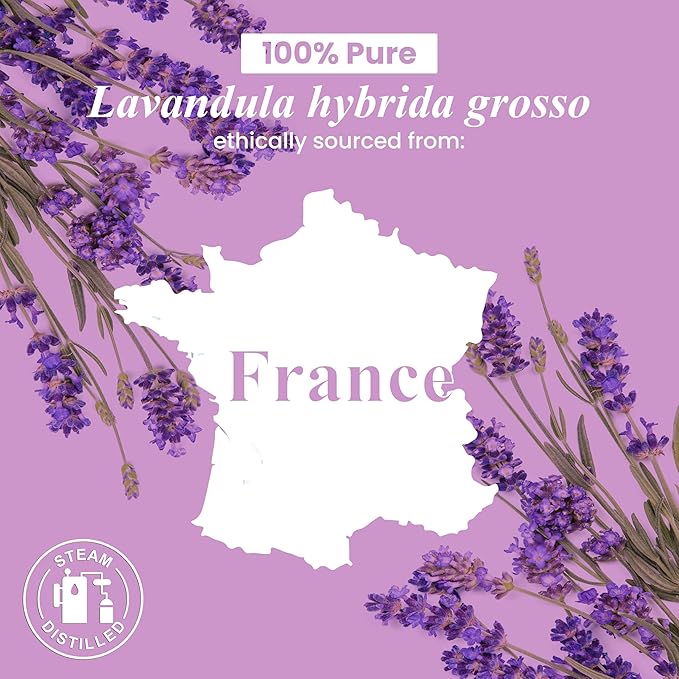 Handcraft Blends Lavender Essential Oil – 1 Fl Oz – 100% Pure and Natural – - Image 8
