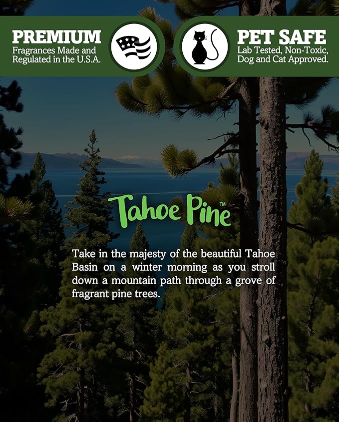 Shortie's Candle Company Tahoe Pine Premium Tealight Candles - Image 5