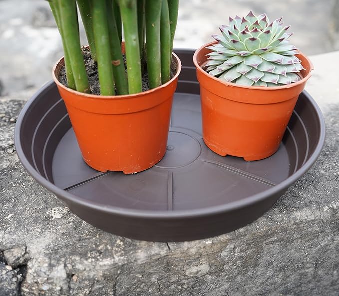 LWALRS Plant Saucer 14 Inch 4 Pack 6 8 10 12 14 16 18 20 25, Plastic Plant Trays - Image 5