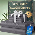 DECOLURE 100% Viscose Derived from Bamboo Sheets Queen Size by DECOLURE