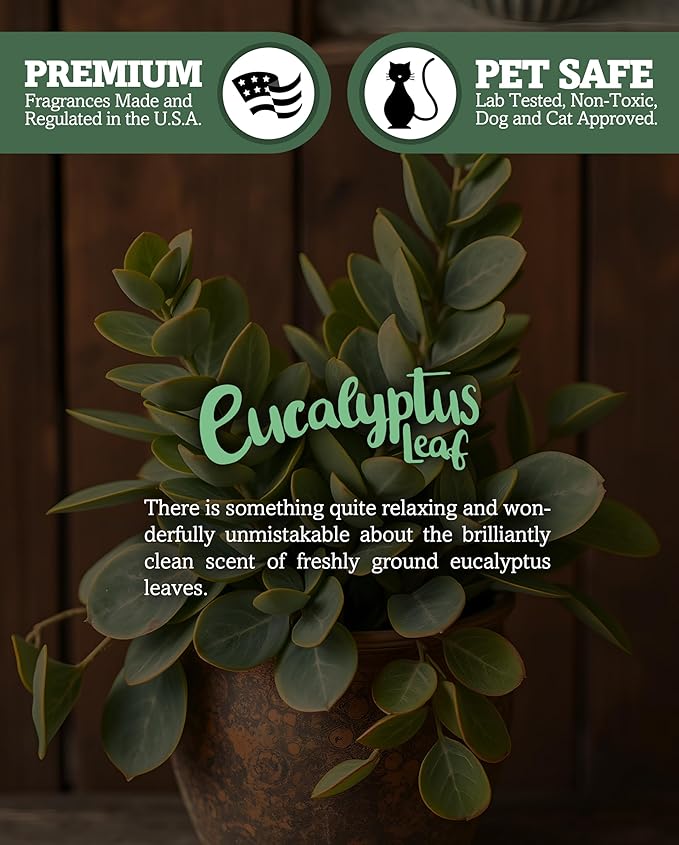 Eucalyptus Leaf Premium Tealight Candles - Image 5