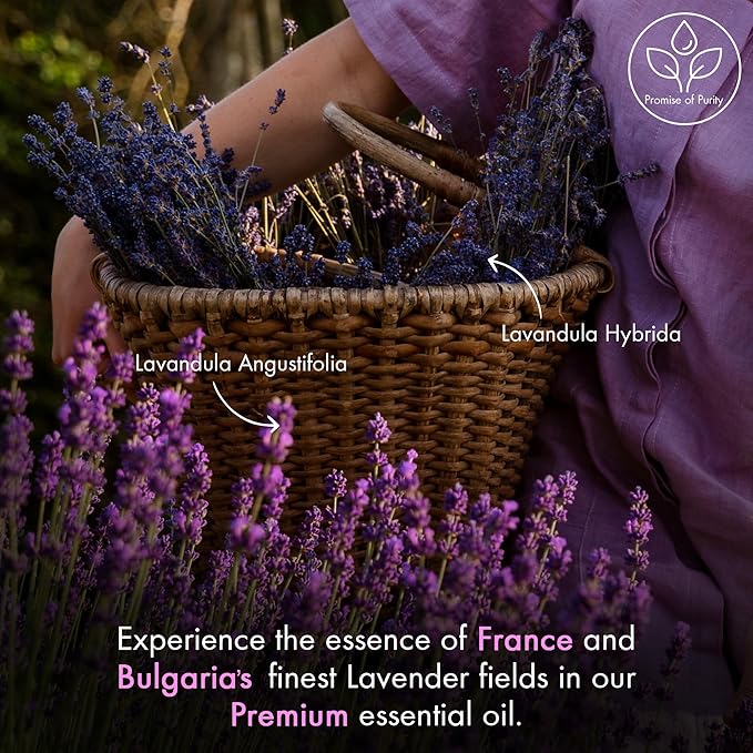 Majestic Pure Essential Oil - Image 3
