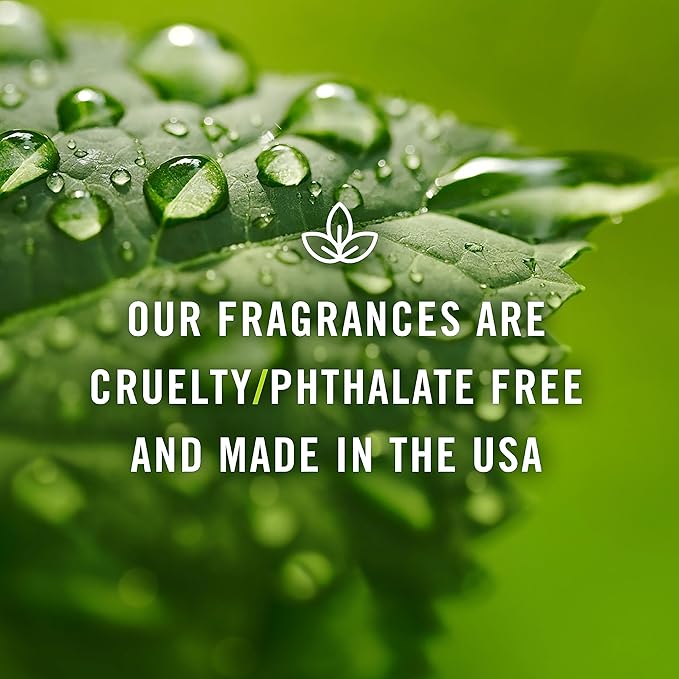 P&J Trading Fragrance Oil | Cupcake Oil 30ml - Image 6