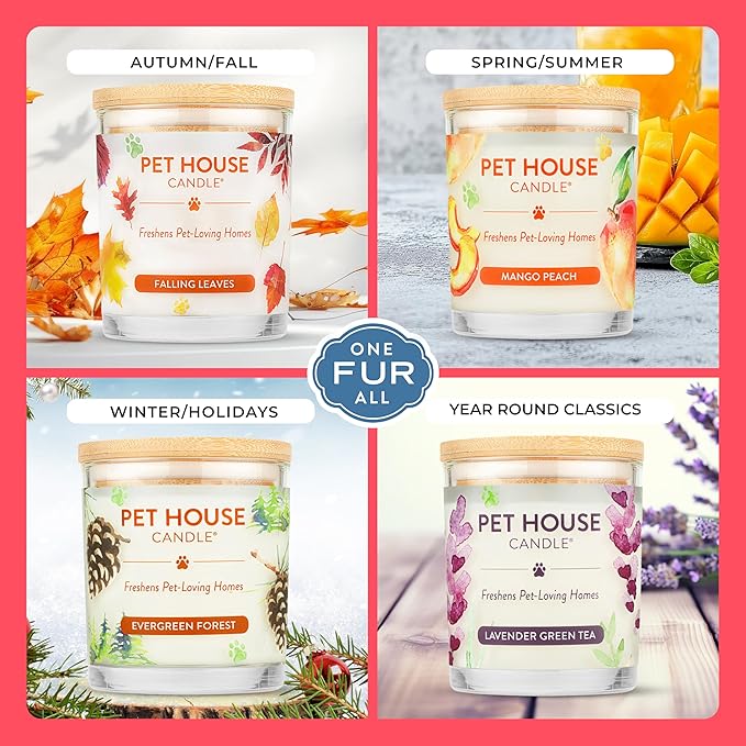 Pet House Candles, Clean Long-Burning, Scented Pet Friendly Candles, Plant-Based - Image 4