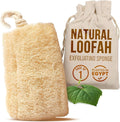 CraftsOfEgypt Natural Loofah Sponge – Egyptian Luffa Body Scrubber Pack of 1 by CraftsOfEgypt