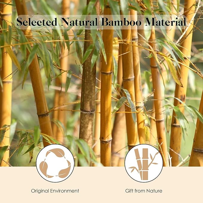 GAINWELL Bamboo Hair Brush for Hair Growth, Natural Bamboo Bristles Detangling - Image 3