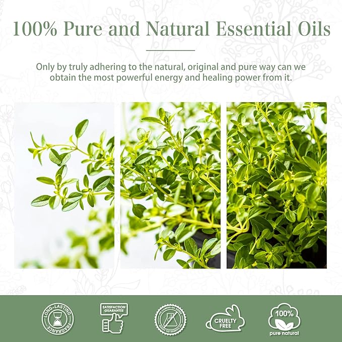 Thyme 3.38fl.oz Essential Oil, PHATOIL Aromatherapy Essential Oils - Image 7