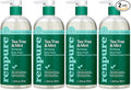 RENPURE Tea Tree & Mint Body Wash by RENPURE