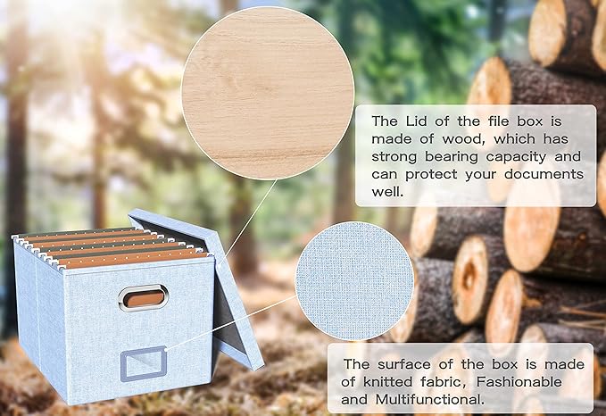 2 Pack File Storage Organizer, Filing Box, Portable File Box with Lid, Fit for Letter/Legal File Folder Storage, Document Organizer, Sky-blue