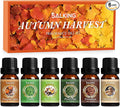 SALKING Autumn Fragrance Oils, Premium Fall Essential Oils by SALKING