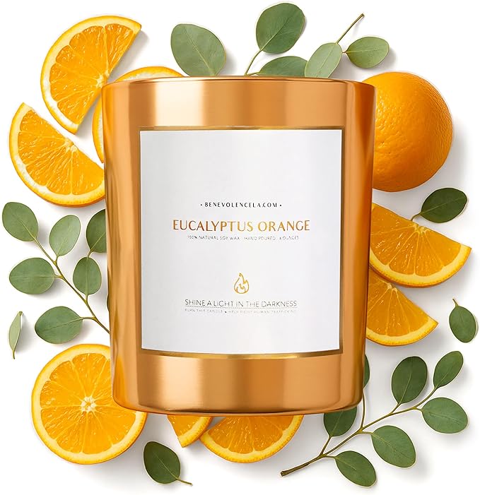 Benevolence LA Eucalyptus Orange Wood Wick Candles | Soy Christmas Scented by BenevolenceLA
