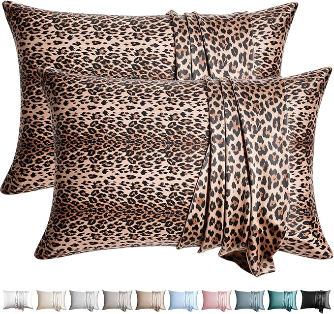 WLOSJ100% Silk Pillow Cases 2 Pack Queen Size Mulberry Silk Pillowcase by WLOSJ