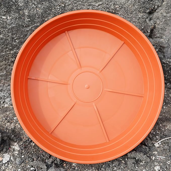 LWALRS Plant Saucer 14 Inch 2 Pack 6 8 10 12 14 16 18 20 25, Plastic Plant Trays - Image 6