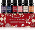 Premium Fragrance Oil Set – Highly Concentrated Scented Oils by FioraNaturals