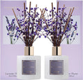 Cocorrína Premium Reed Diffuser Set by COCORR%C3%8DNA
