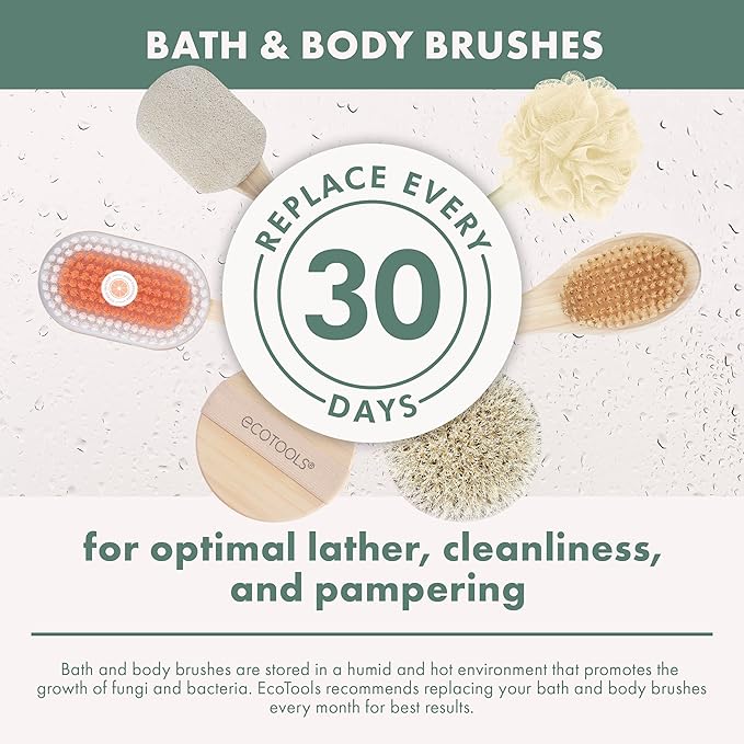 EcoTools Dry Body Brush, For Post Shower & Bath Skincare Routine, Removes Dirt - Image 12