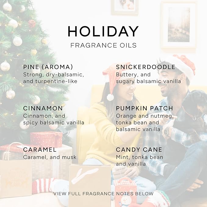 Eternal Essence Oils Holiday Set of 6 Premium Fragrance Oils - Image 2