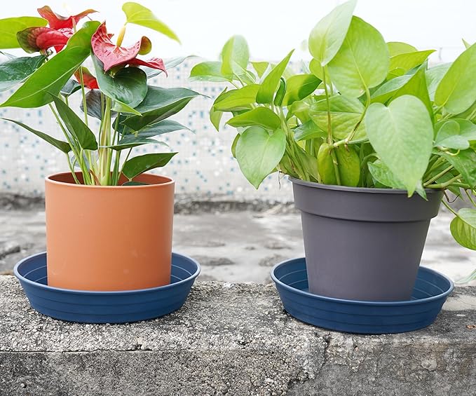 Plant Saucer 6 Inch 4 Pack 6 8 10 12 14 16 18 20 25, Plastic Plant Trays - Image 5