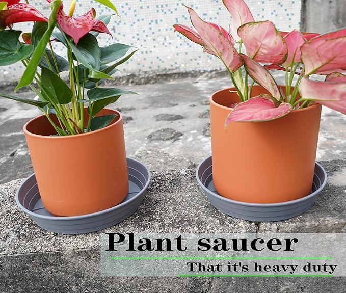 LWALRS Plant Saucer 14 Inch 2 Pack 6 8 10 12 14 16 18 20 25, Plastic Plant Trays - Image 3