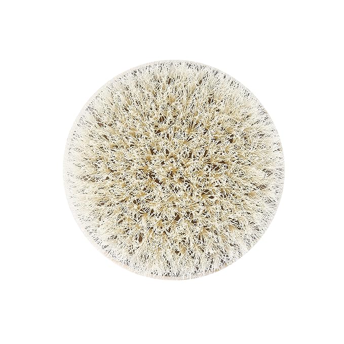 EcoTools Dry Body Brush, For Post Shower & Bath Skincare Routine, Removes Dirt - Image 3