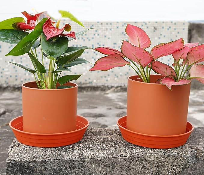 LWALRS Plant Saucer 14 Inch 2 Pack 6 8 10 12 14 16 18 20 25, Plastic Plant Trays - Image 3