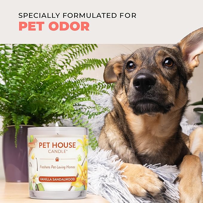 Pet House Candles, Clean Burning, Long Lasting Candles - Image 6