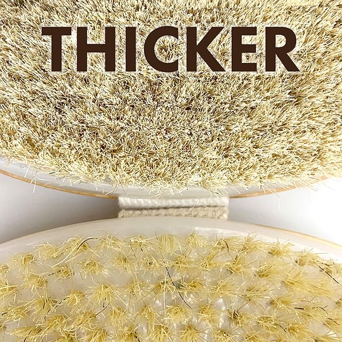Dry Brushing Body Brush SCALA Natural Bristle Body Brush, Soft Body Exfoliating - Image 3