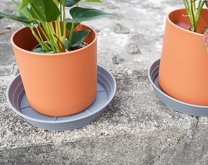 LWALRS Plant Saucer 14 Inch 2 Pack 6 8 10 12 14 16 18 20 25, Plastic Plant Trays - Image 6