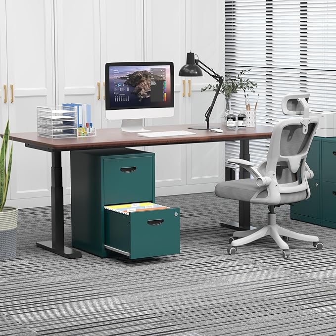 Kubohogar 2 Drawer File Cabinet with Lock,Green Metal Filing Cabinets,Vertical Locking File Cabinet Fit Hanging Files, Letter,File Box and A4 Documents
