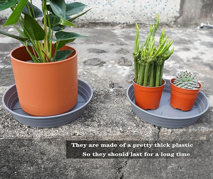 Plant Saucer 6 Inch 4 Pack 6 8 10 12 14 16 18 20 25, Plastic Plant Trays - Image 5