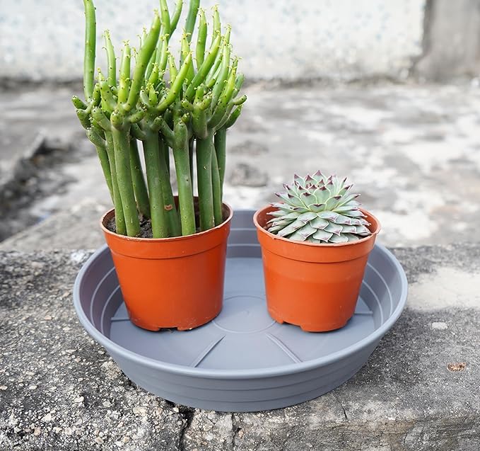 LWALRS Plant Saucer 14 Inch 2 Pack 6 8 10 12 14 16 18 20 25, Plastic Plant Trays - Image 4