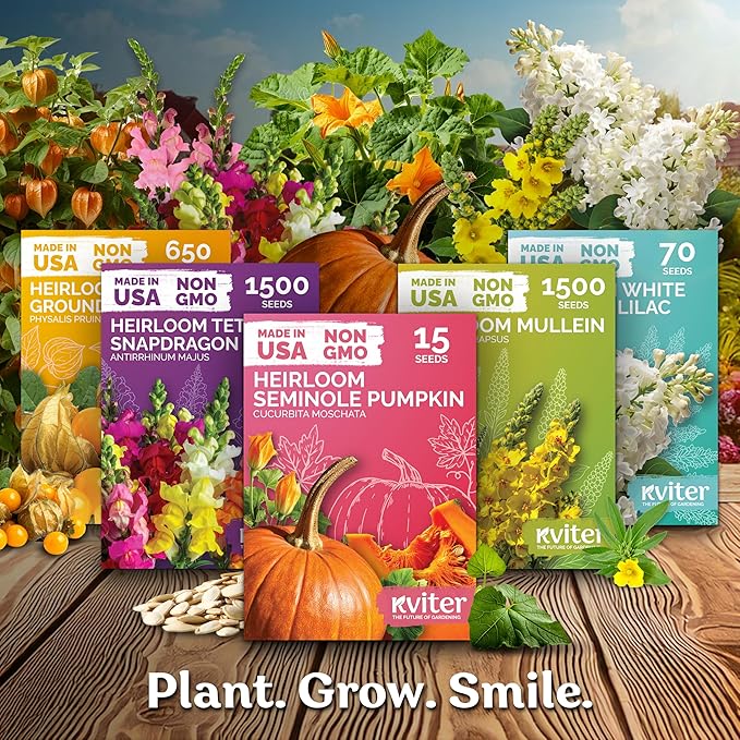 KVITER 400 Bloomsdale Spinach Seeds — Non-GMO & Heirloom, Heat Tolerant - Image 7