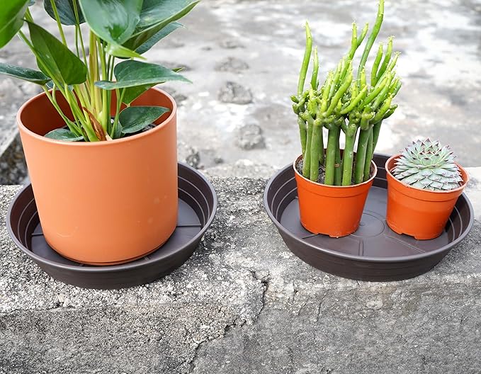 LWALRS Plant Saucer 14 Inch 2 Pack 6 8 10 12 14 16 18 20 25, Plastic Plant Trays - Image 6