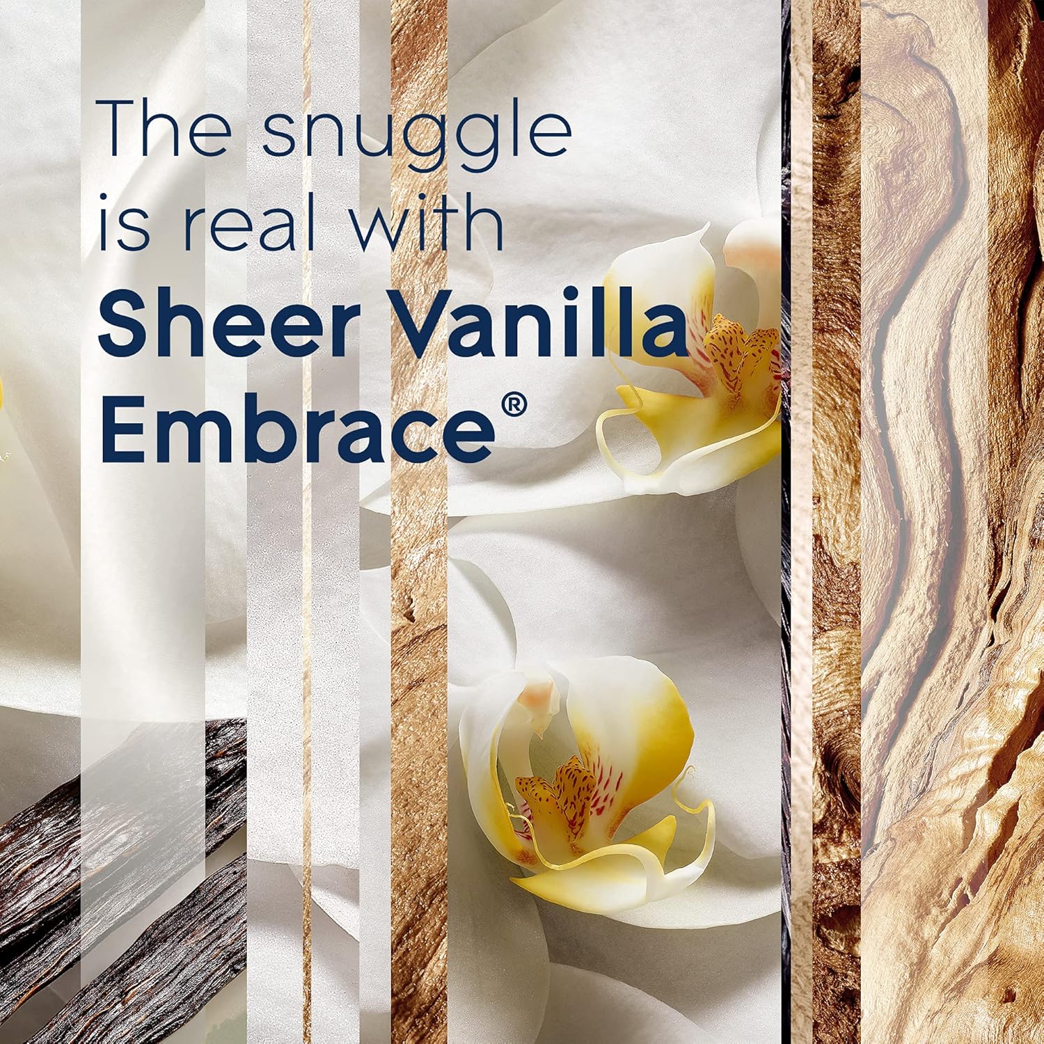 Glade PlugIns Refills Air Freshener, Sheer Vanilla Embrace, Scented and Essential Oils for Home and Bathroom, 0.67 Fl Oz, 10 Count